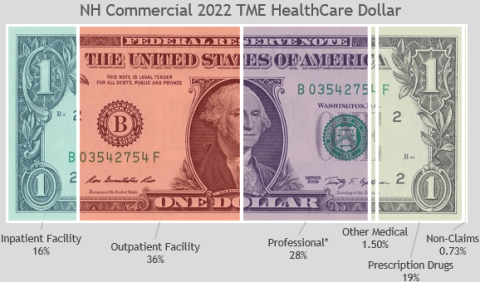 2022 HealthCare Dollar